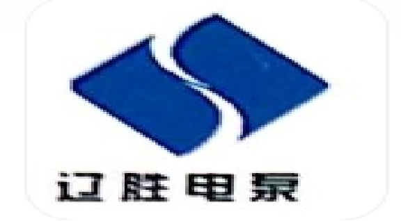 胜利电泵